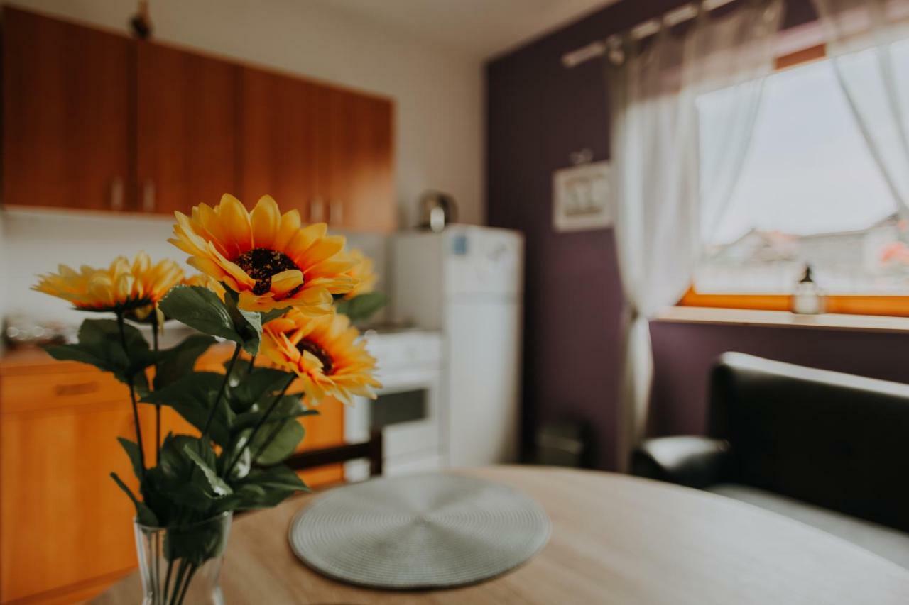 Apartmani Marin Вуковар Екстер'єр фото